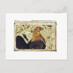 Easter Hen Grunge Vintage Papers Holiday Postcard