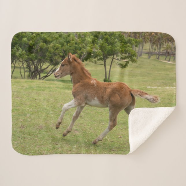 Easter Island aka Rapa Nui Sherpa Blanket (Front (Horizontal))