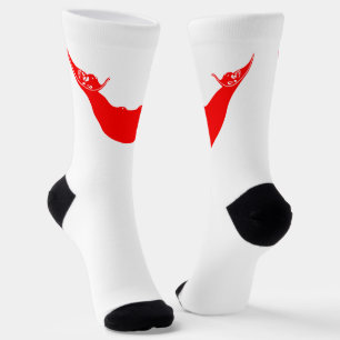 Easter Island Flag Socks