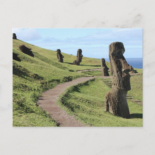 Easter Island Statues on Hill Postcard (Front)