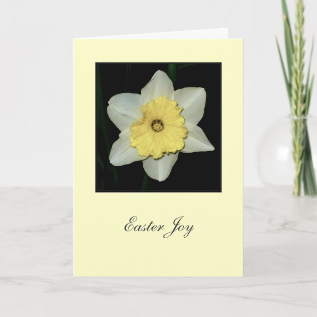 'Easter Joy' Daffodil Greeting Card (Front)