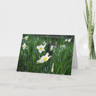 EASTER KITTEN IN FLOWERS HOLIDAY CARD