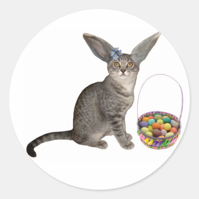 Easter Kitten Stickers (Front)