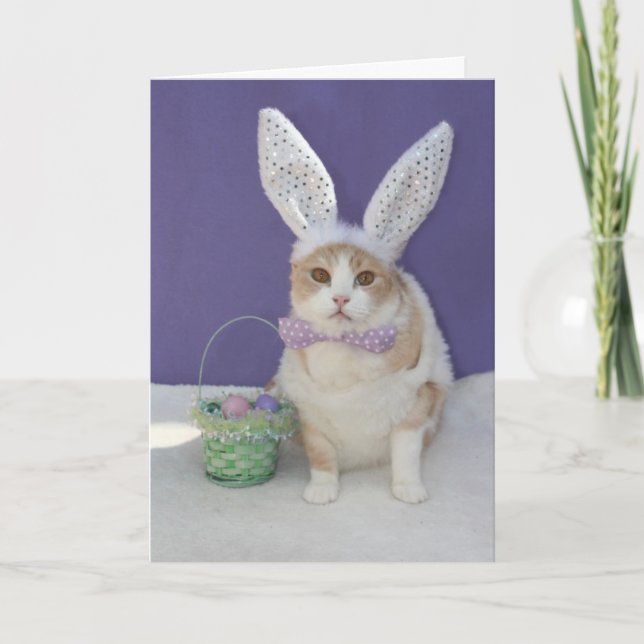 Easter Kitty Holiday Card (Front)
