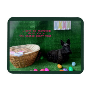 Easter Knowledge Magnet