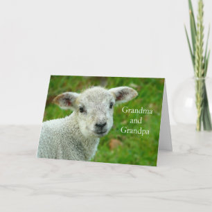 Easter Lamb Grandparents Holiday Card