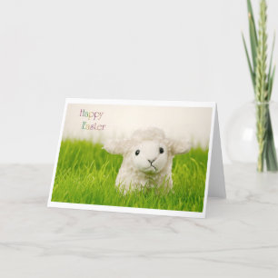 Easter Lamb Holiday Card