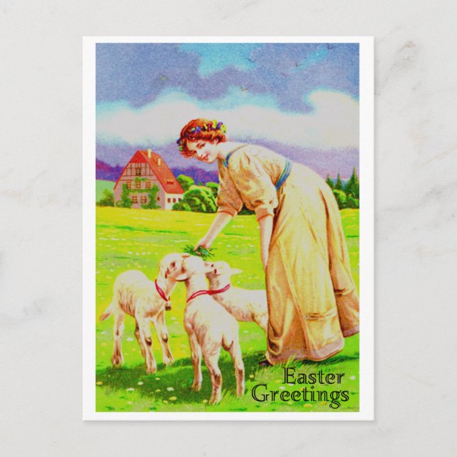 Easter Lambs Post Card (Front)