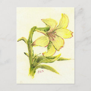 Easter Lilly by Mum Holiday Postcard