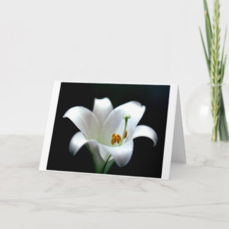 Easter Lily Holiday Card