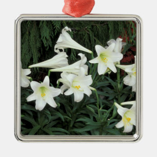 Easter Lily (Lilium regale) Metal Tree Decoration