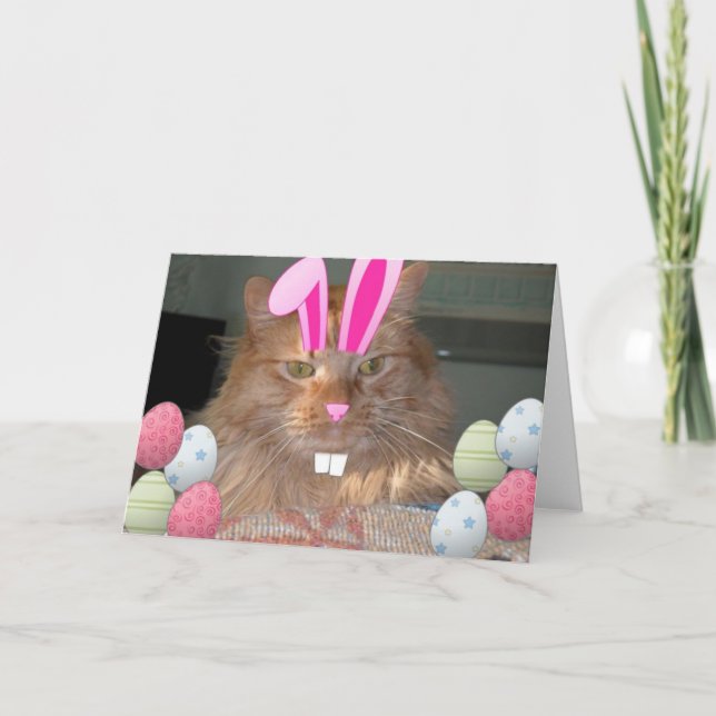 Easter Orange Tabby Kitty Cat Holiday Card (Front)