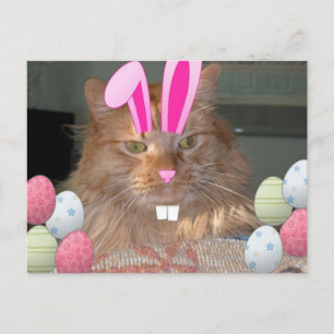 Easter Orange Tabby Kitty Cat Holiday Postcard