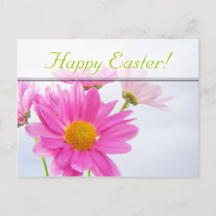 Easter Pink Daisy Postcard