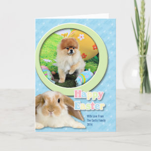 Easter - Pomeranian - Dexter Holiday Card
