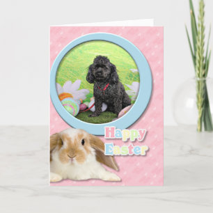 Easter - Poodle - Junior Holiday Card