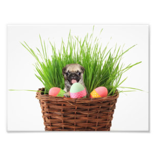Easter pug puppy photo print