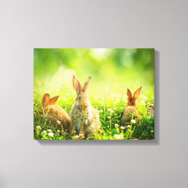 Easter Rabbits Canvas Print (Front)