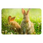 Easter Rabbits