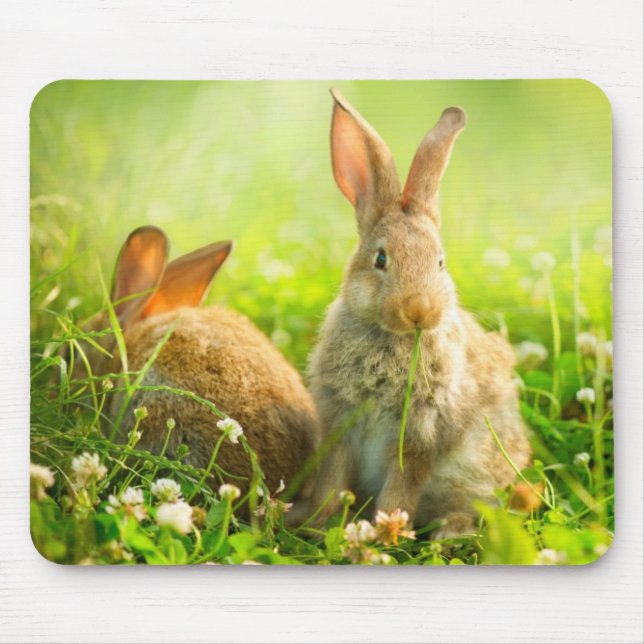 Easter Rabbits Mouse Pad (Front)