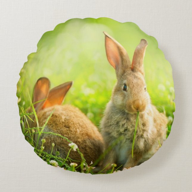 Easter Rabbits Round Cushion (Front)