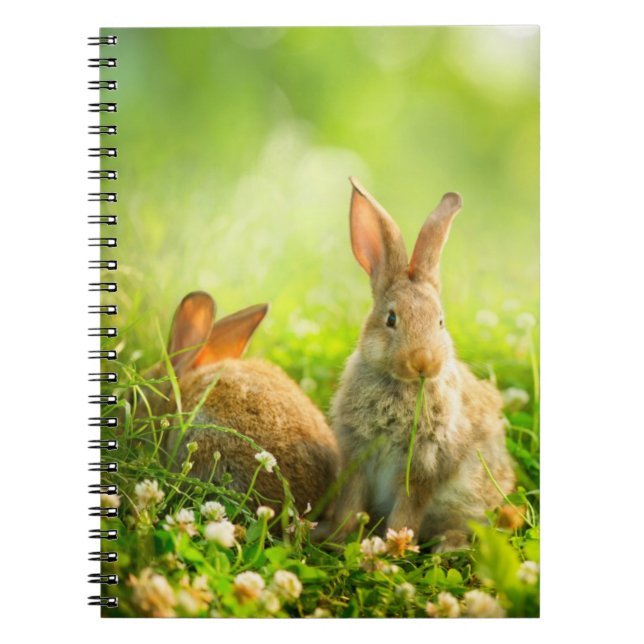 Easter Rabbits Spiral Notebook (Front)