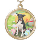 Easter - Rat Terrier - Georgia