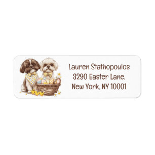 Easter Shih Tzu Dogs