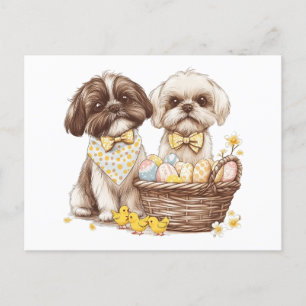 Easter Shih Tzu Dogs Holiday Postcard