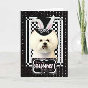 Easter - Some Bunny Loves You - Bichon Frise Holiday Card