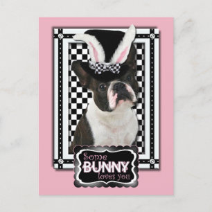 Easter - Some Bunny Loves You - Boston Terrier Holiday Postcard