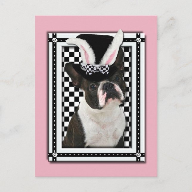 Easter - Some Bunny Loves You - Boston Terrier Holiday Postcard (Front)