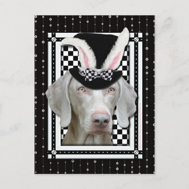 Easter - Some Bunny Loves You - Weimaraner Holiday Postcard (Front)