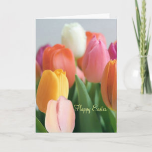 Easter. Spring tulips. Greetings. Holiday Card