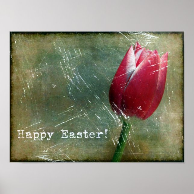 Easter Tulip Grunge Poster (Front)