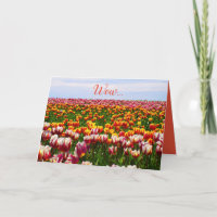 Easter, tulips, flowers, colourful, funny