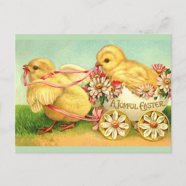 Easter Vintage classic chicks chic Holiday Postcard (Front)