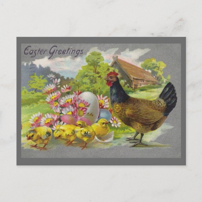 Easter Vintage Hen, Chicks & Pink Flowers Postcard (Front)