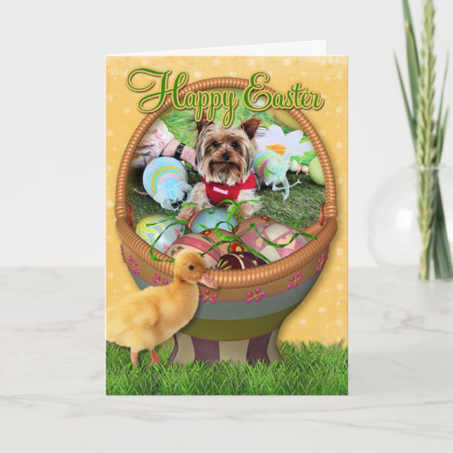 Easter - Yorkshire Terrier - Sassy Holiday Card (Front)