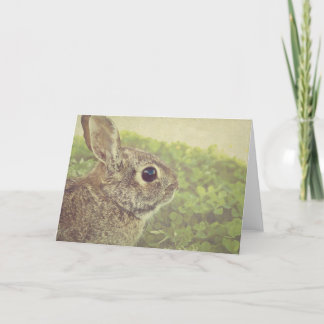 Easterbunny Holiday Card
