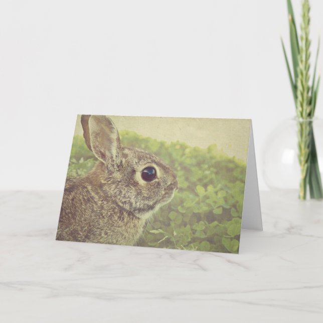 Easterbunny Holiday Card (Front)