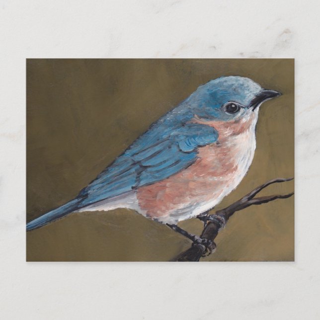 Eastern Bluebird Bird Art Postcard (Front)