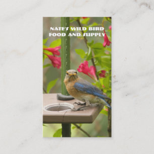 Eastern Bluebird Business Card