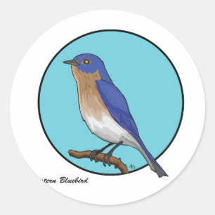 EASTERN BLUEBIRD CLASSIC ROUND STICKER