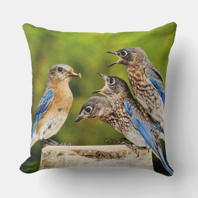 Eastern Bluebird Cushion (Front)