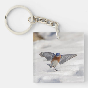 Eastern Bluebird dancing in the snow Key Ring