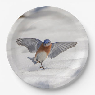 Eastern Bluebird dancing in the snow Paper Plate