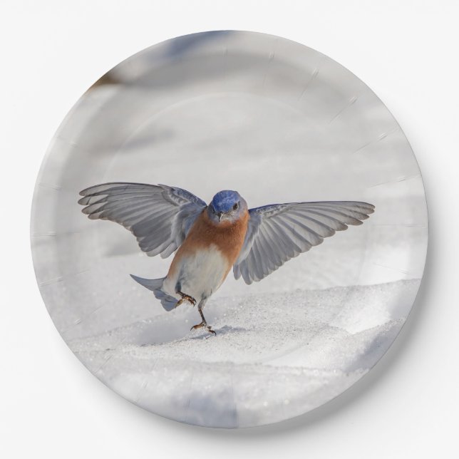 Eastern Bluebird dancing in the snow Paper Plate (Front)