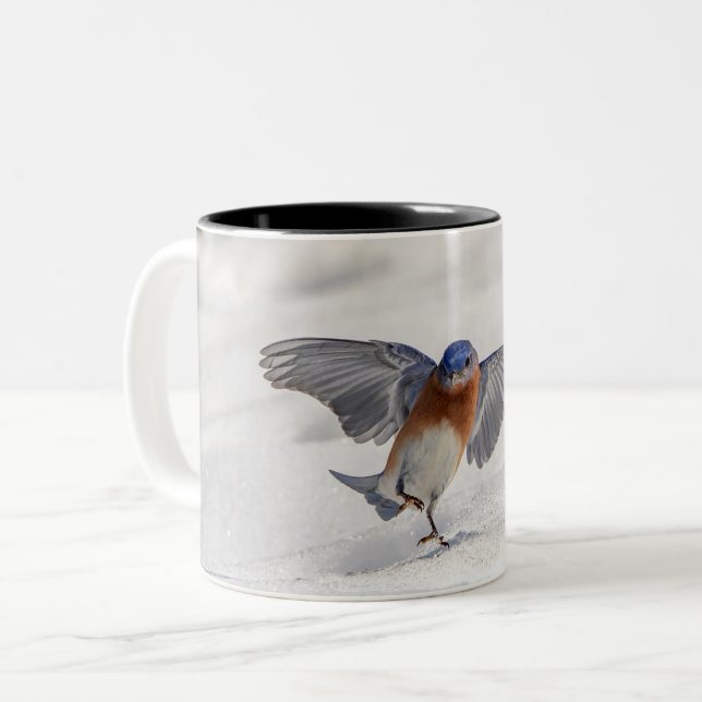 Eastern Bluebird dancing in the snow Two-Tone Coffee Mug (Front Left)