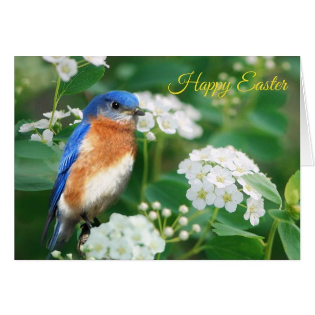 Eastern Bluebird Greeting Card (Front Horizontal)
